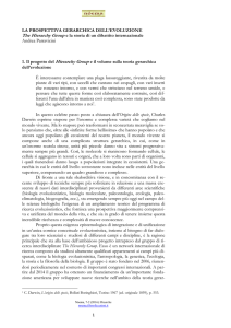 LA PROSPETTIVA GERARCHICA DELL