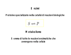 Enzimi Metabolismo