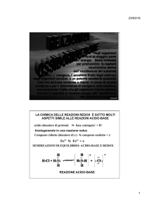 10 reazioni redox - Progetto e