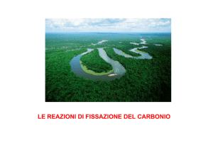 lez 6 Fissazione del Carbonio