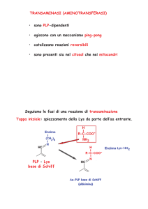 Diapositiva 1