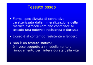 OSSO - Progetto e