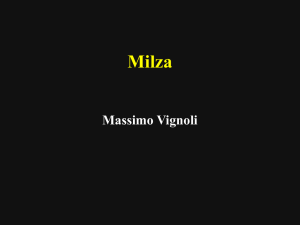 Milza File - Progetto e
