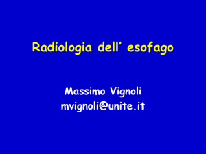 esofago File - Progetto e