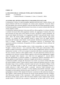 dispensa corso - Congressi SOI