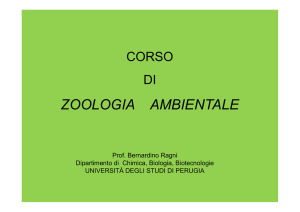 Anfibi - Studio Naturalistico Hyla