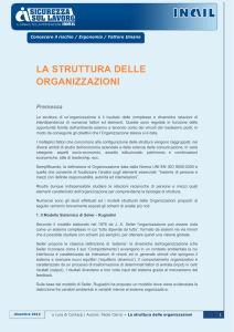 la struttura delle organizzazioni