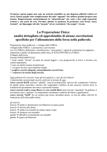 Massimo Merazzi 2