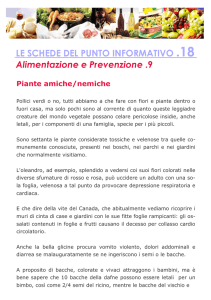 Piante amiche/nemiche