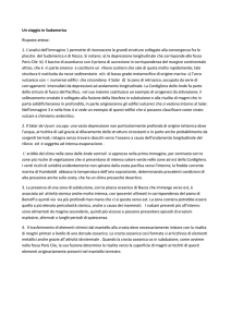 Un viaggio in Sudamerica Risposte attese: 1. L`analisi