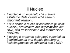 Lezione V