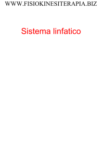 Sistema linfatico - Fisiokinesiterapia