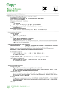 Scheda di sicurezza CIPERTRIN EC