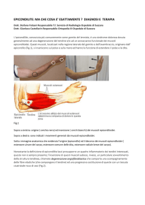 epicondilite: ma che cosa e` esattamente ? diagnosi e terapia