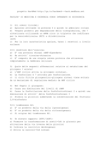 - HackMed