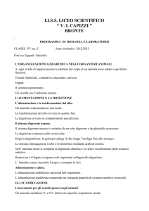 Biologia e Laboratorio IV C Scientifico
