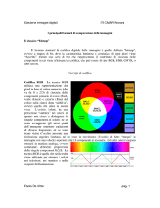 Gestione immagini digitali ITI OMAR Novara Paolo De Vittor pag. 1 I