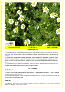 MODELLO Camomilla - Comunità Montana del Sebino Bresciano