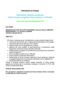 depliant centro recu..