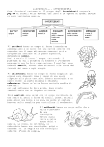 Invertebrati: Libriccini Didattici per la Scuola Media