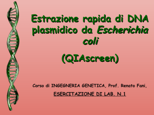 Presentazione di PowerPoint