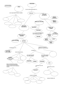 Mappa concettuale - Digilander