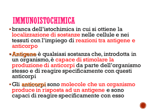 10 2016 immunoistochimica