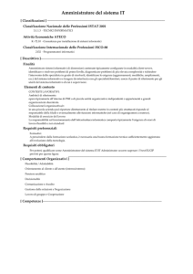 Amministratore del sistema IT