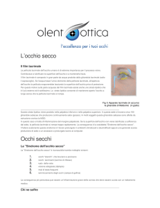 L`occhio secco Occhi secchi