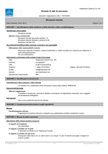 Scheda di dati di sicurezza