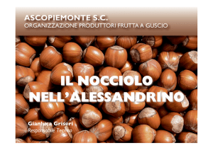 Gianluca Griseri