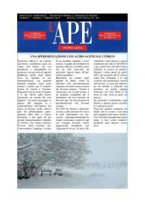 L`APE Nostra Amica gennaio