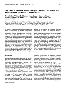Expression of cauliflower mosaic virus gene I in