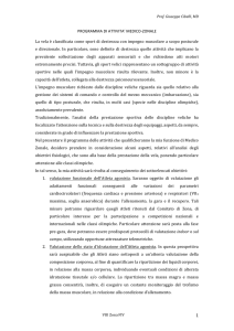 qui - VIII ZONA
