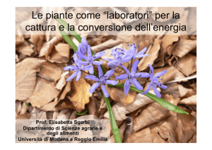 Le piante come “laboratori - Associazione Cultura e Vita