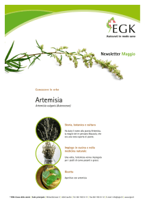 Artemisia