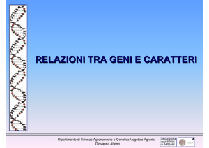 relazioni tra geni e caratteri - Associazione Studenti di Agraria IAAS