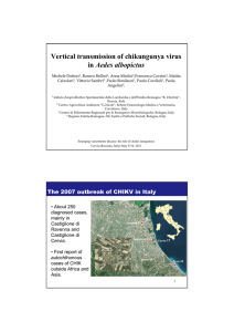 Vertical transmission of chikungunya virus in Aedes albopictus