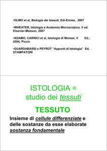 Epiteli di rivestimento File
