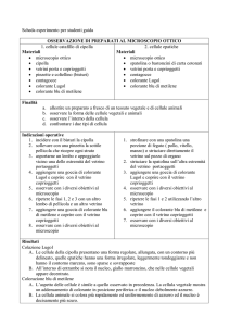Scheda_MICROSCOPIA__per_guide