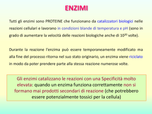 enzima substrati
