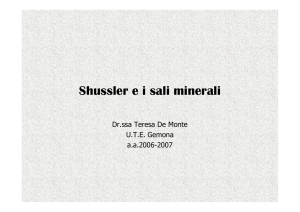 Shussler e i sali minerali