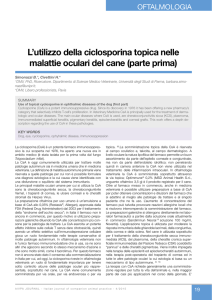 L`utilizzo della ciclosporina topica nelle malattie oculari del
