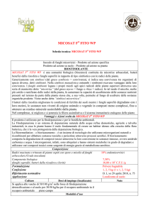 MICOSAT F FITO