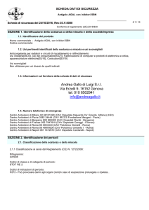ANTIGELO AGAL CON INIBITORI SBN A.Gallo sds IT.docx