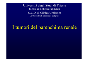 Presentazione di PowerPoint - Università degli studi di Trieste