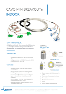 cavo minibreakout® indoor