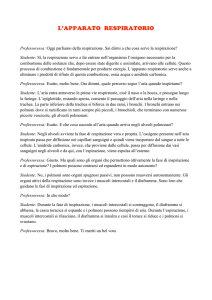 L`APPARATO RESPIRATORIO