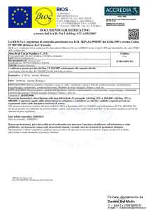 Documento giustificativo