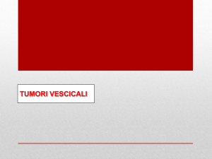 Diagnostica urologica: neoplasie vescicali e prostatiche